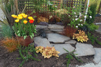 garden with beautiful bench